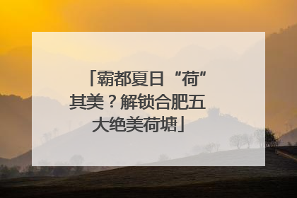 霸都夏日“荷”其美？解锁合肥五大绝美荷塘