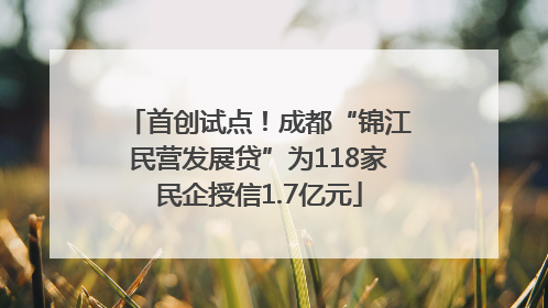 首创试点！成都“锦江民营发展贷”为118家民企授信1.7亿元