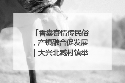 香囊寄情传民俗，产镇融合促发展｜大兴北臧村镇举办端午主题活动