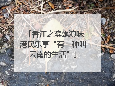 香江之滨飘滇味 港民乐享“有一种叫云南的生活”
