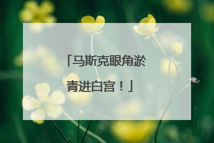 马斯克眼角淤青进白宫！