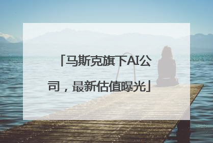马斯克旗下AI公司，最新估值曝光