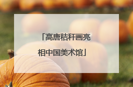 高唐秸秆画亮相中国美术馆