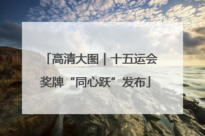高清大图｜十五运会奖牌“同心跃”发布