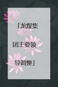 龙煤集团主要领导调整