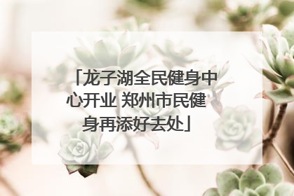龙子湖全民健身中心开业 郑州市民健身再添好去处