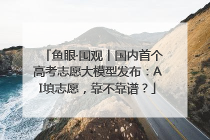 鱼眼·围观丨国内首个高考志愿大模型发布：AI填志愿，靠不靠谱？