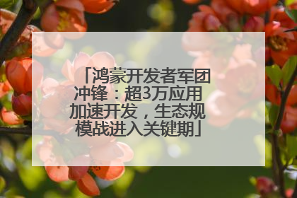 鸿蒙开发者军团冲锋：超3万应用加速开发，生态规模战进入关键期