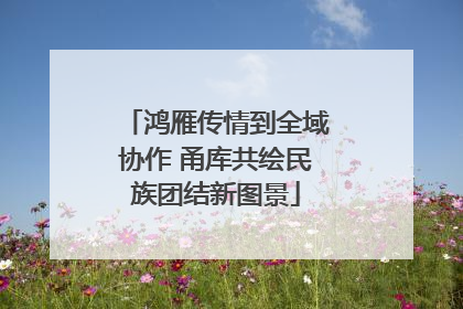 鸿雁传情到全域协作 甬库共绘民族团结新图景