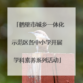 鹤壁市城乡一体化示范区各中小学开展学科素养系列活动