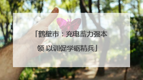 鹤壁市：充电蓄力强本领 以训促学砺精兵