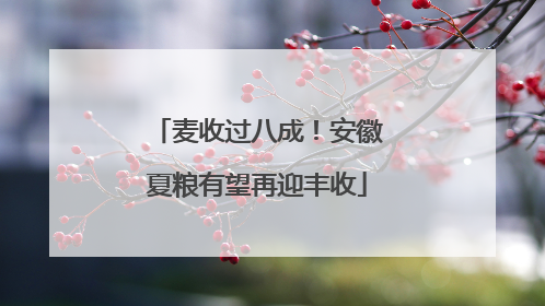 麦收过八成！安徽夏粮有望再迎丰收