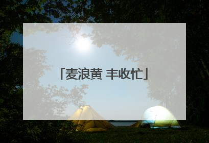 麦浪黄 丰收忙