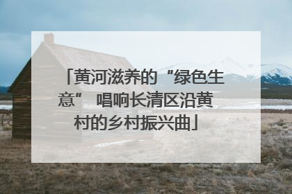 黄河滋养的“绿色生意” 唱响长清区沿黄村的乡村振兴曲