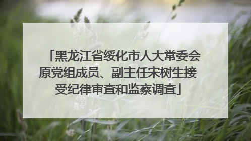 黑龙江省绥化市人大常委会原党组成员、副主任宋树生接受纪律审查和监察调查