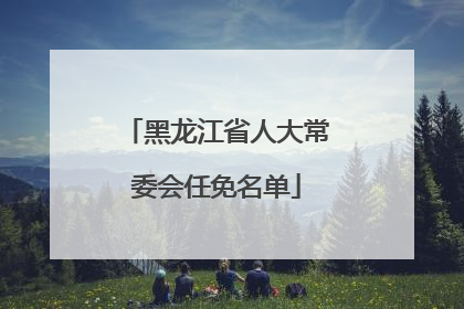 黑龙江省人大常委会任免名单