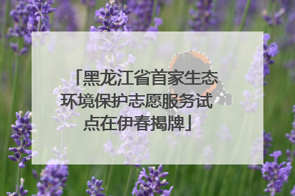 黑龙江省首家生态环境保护志愿服务试点在伊春揭牌