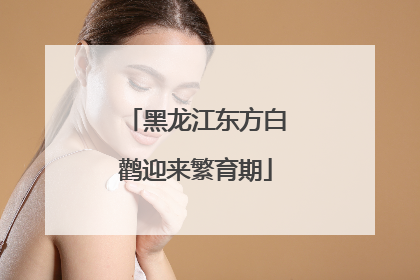 黑龙江东方白鹳迎来繁育期