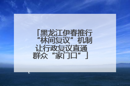 黑龙江伊春推行“林间复议”机制 让行政复议直通群众“家门口”