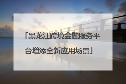 黑龙江跨境金融服务平台增添全新应用场景