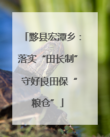 黟县宏潭乡：落实“田长制” 守好良田保“粮仓”