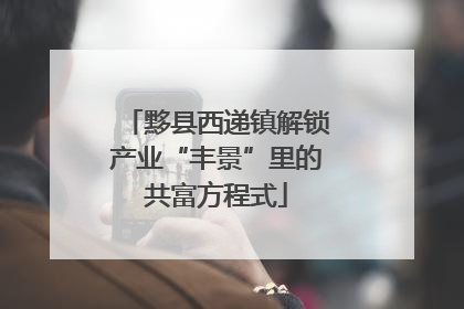 黟县西递镇解锁产业“丰景”里的共富方程式