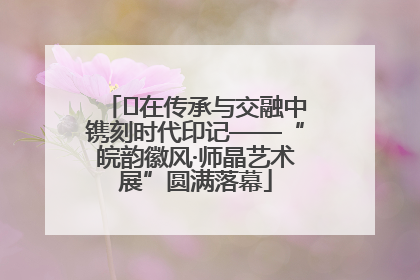 ﻿在传承与交融中镌刻时代印记——“皖韵徽风·师晶艺术展”圆满落幕