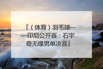 （体育）羽毛球——印尼公开赛：石宇奇无缘男单决赛