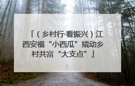 （乡村行·看振兴）江西安福“小西瓜”撬动乡村共富“大支点”