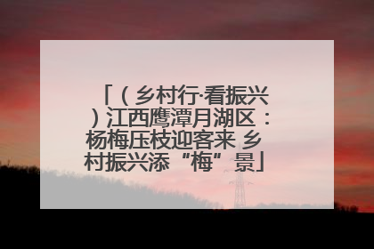 （乡村行·看振兴）江西鹰潭月湖区：杨梅压枝迎客来 乡村振兴添“梅”景