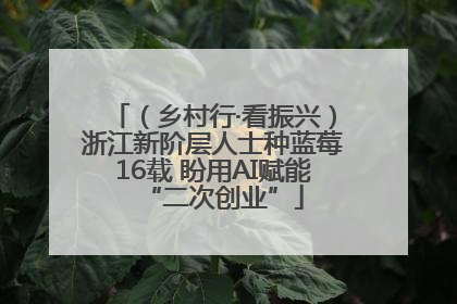 （乡村行·看振兴）浙江新阶层人士种蓝莓16载 盼用AI赋能“二次创业”