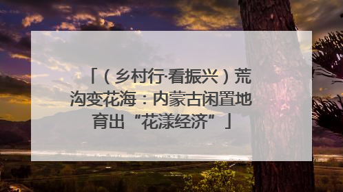 （乡村行·看振兴）荒沟变花海：内蒙古闲置地育出“花漾经济”