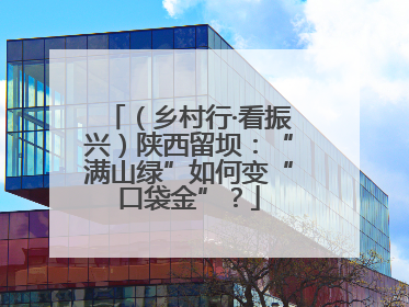 （乡村行·看振兴）陕西留坝：“满山绿”如何变“口袋金”？