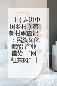 （走进中国乡村）茗新村破圈记：民族文化赋能 产业借势 “网红东风”
