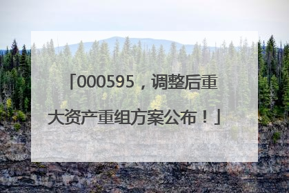 000595，调整后重大资产重组方案公布！