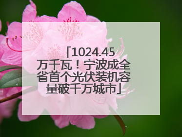 1024.45万千瓦！宁波成全省首个光伏装机容量破千万城市