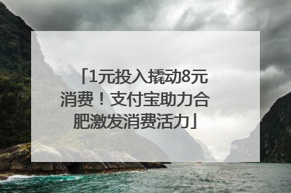 1元投入撬动8元消费！支付宝助力合肥激发消费活力