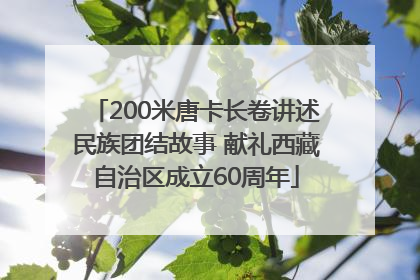 200米唐卡长卷讲述民族团结故事 献礼西藏自治区成立60周年