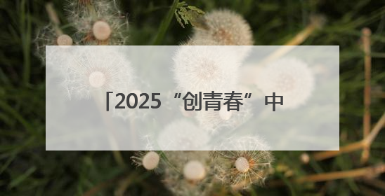 2025“创青春”中国青年创新创业周在长沙开幕 阿东沈晓明致辞