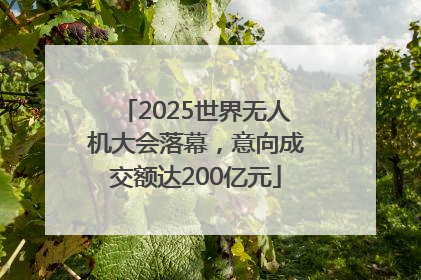 2025世界无人机大会落幕，意向成交额达200亿元