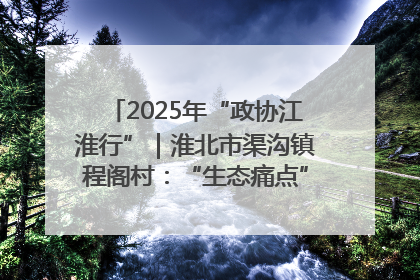 2025年“政协江淮行”｜淮北市渠沟镇程阁村：“生态痛点”变“生态景观”