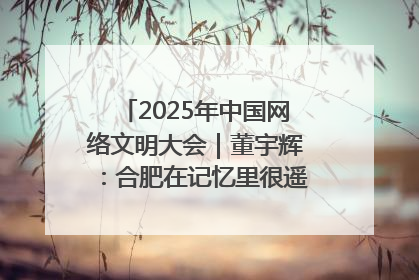 2025年中国网络文明大会｜董宇辉：合肥在记忆里很遥远也很亲切