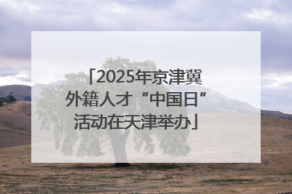 2025年京津冀外籍人才“中国日”活动在天津举办