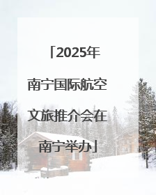 2025年南宁国际航空文旅推介会在南宁举办