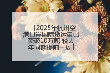2025年杭州空港口岸国际货运量已突破10万吨 较去年同期提前一周