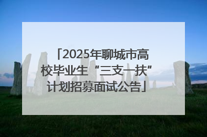 2025年聊城市高校毕业生“三支一扶”计划招募面试公告