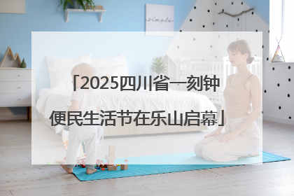 2025四川省一刻钟便民生活节在乐山启幕