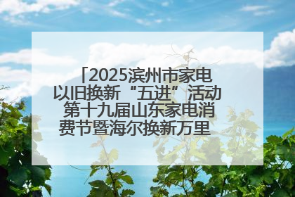 2025滨州市家电以旧换新“五进”活动 第十九届山东家电消费节暨海尔换新万里 行山东站全面启动
