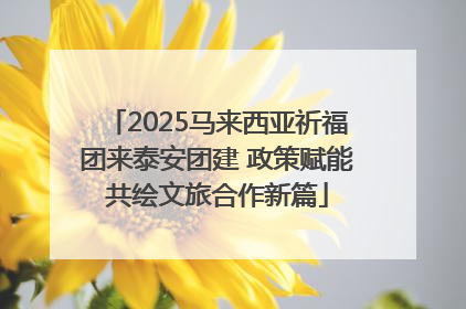 2025马来西亚祈福团来泰安团建 政策赋能共绘文旅合作新篇