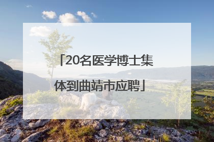 20名医学博士集体到曲靖市应聘